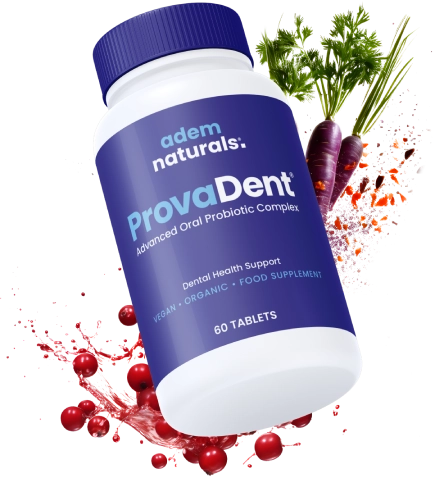 Provadent Dental Support