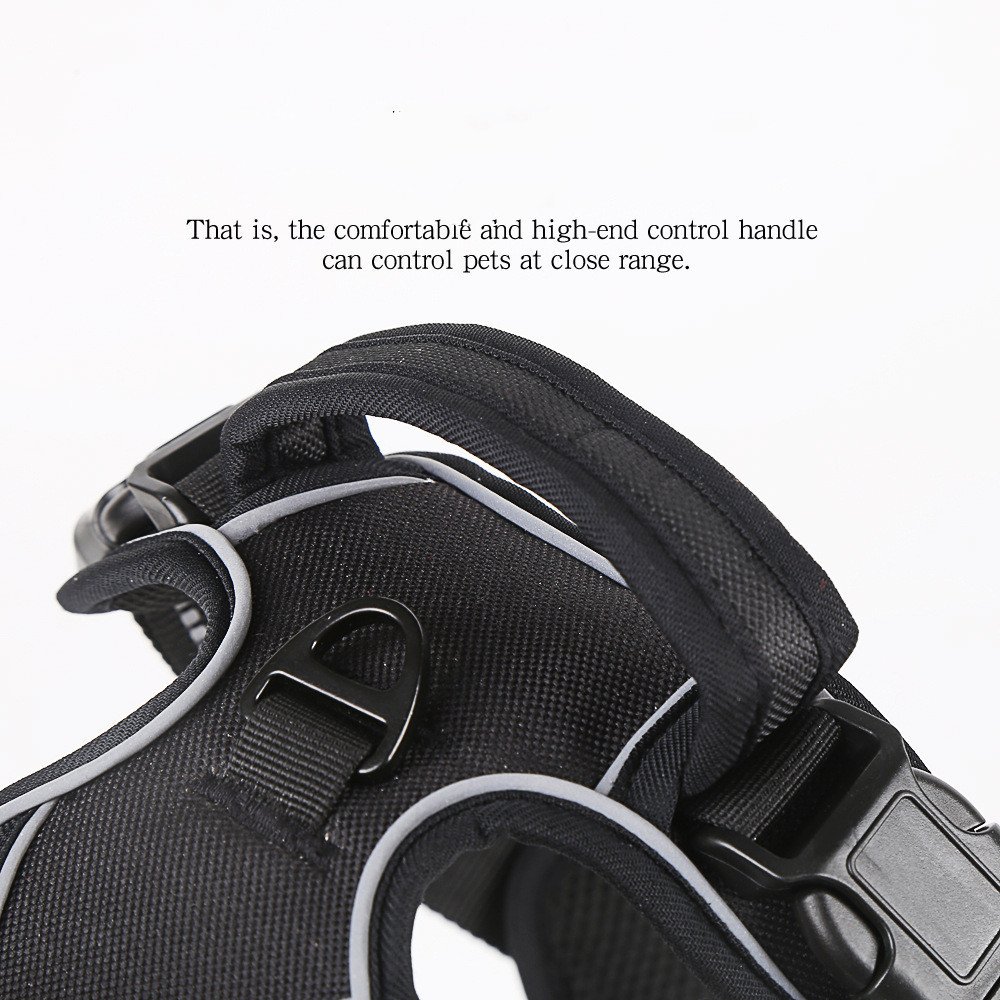 Premium No-Pull Adjustable Dog Harness - Image 10