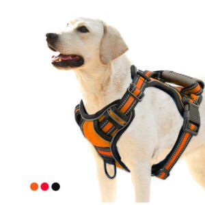 Premium No-Pull Adjustable Dog Harness